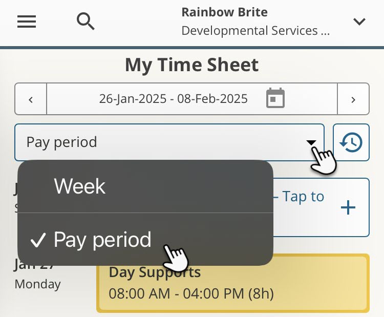 Time Entry Period View 2.jpeg