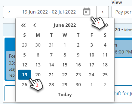 select_specific_date.png